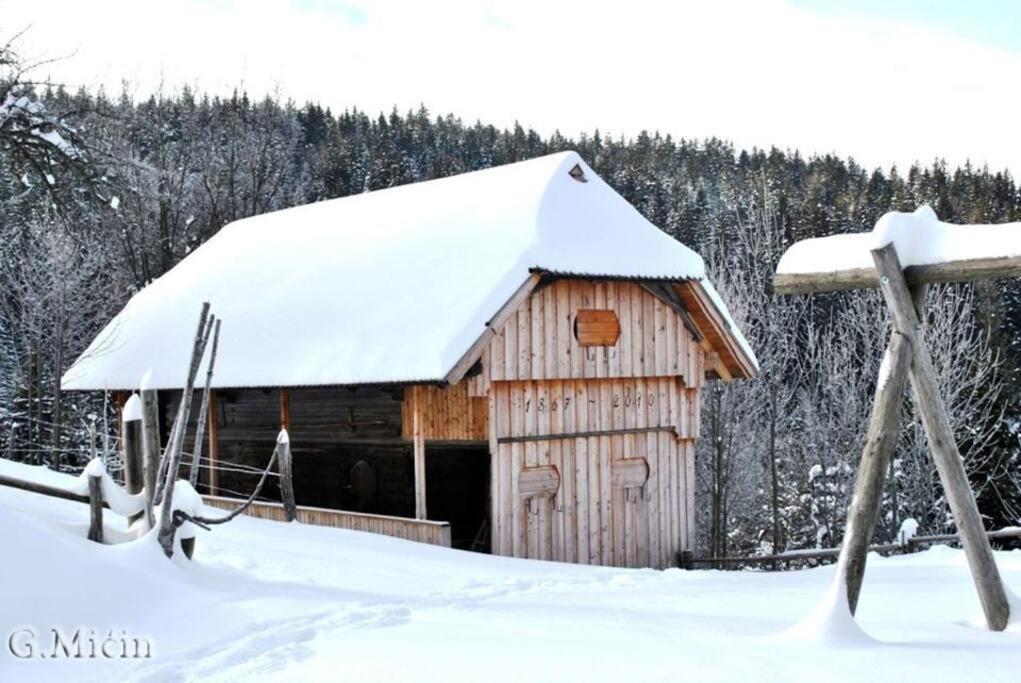 Вилла Tourist Farm Kladje Ljubno Экстерьер фото