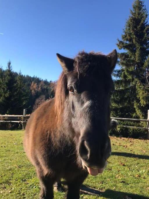 Вилла Tourist Farm Kladje Ljubno Экстерьер фото