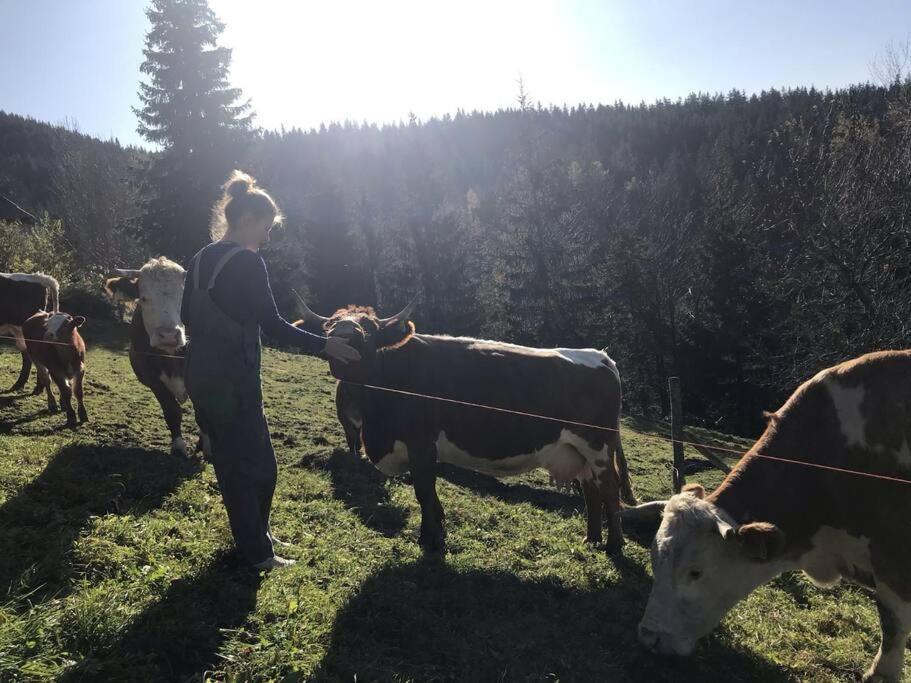 Вилла Tourist Farm Kladje Ljubno Экстерьер фото
