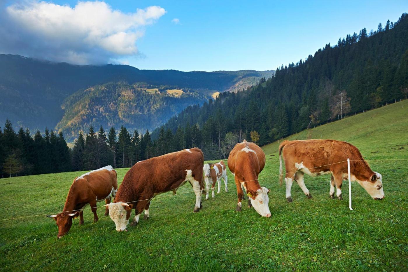 Вилла Tourist Farm Kladje Ljubno Экстерьер фото