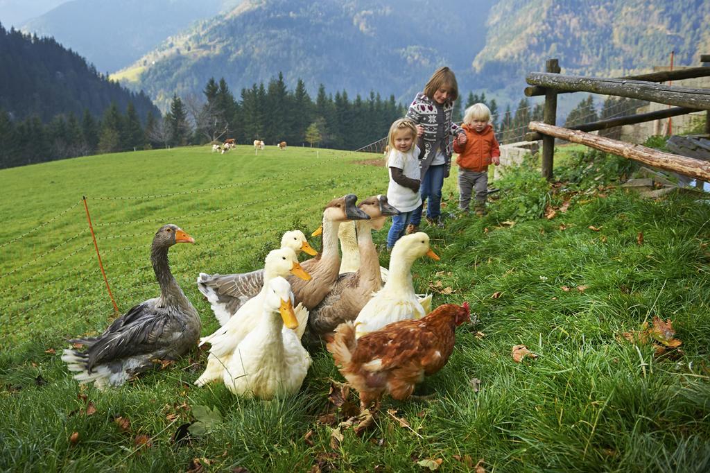 Вилла Tourist Farm Kladje Ljubno Экстерьер фото